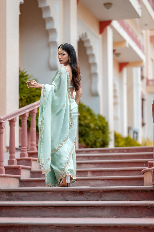 Subhraya Cool Crayon Tissue Silk Saree