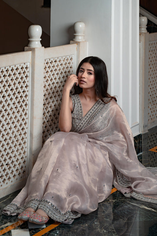 Subhraya Silver Georgette Saree